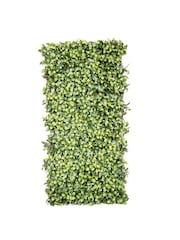 Premier Decorations Ltd Green Gardenia Leaves Willow Garden Trellis - Image 3 of 3