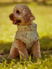 Pink Floral Quilt Dog Coat - Image 1 of 9