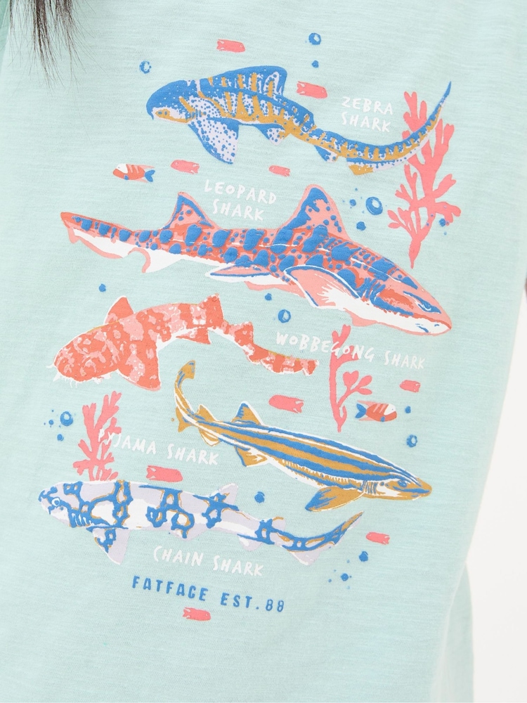 FatFace Green Shark Species T-Shirt - Image 4 of 4