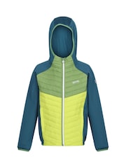 Цвет морской волны - Куртка с капюшоном Regatta Kielder Hybrid - Изображение 5 из 7