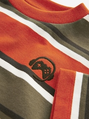 Green/Rust Relaxed Fit Stripe Heavyweight Short Sleeve T-Shirt (3-16yrs) - Image 3 of 4