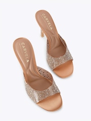Carvela Brown Isabella Vinyl Mule Sandals - Image 3 of 5