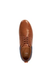 Dune London Brown Standard Fit Travels Colour Detail Trainers - Image 4 of 6