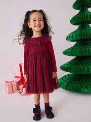Burgundy Long Sleeve Mesh Dress (3mths-7yrs) - Image 1 of 1