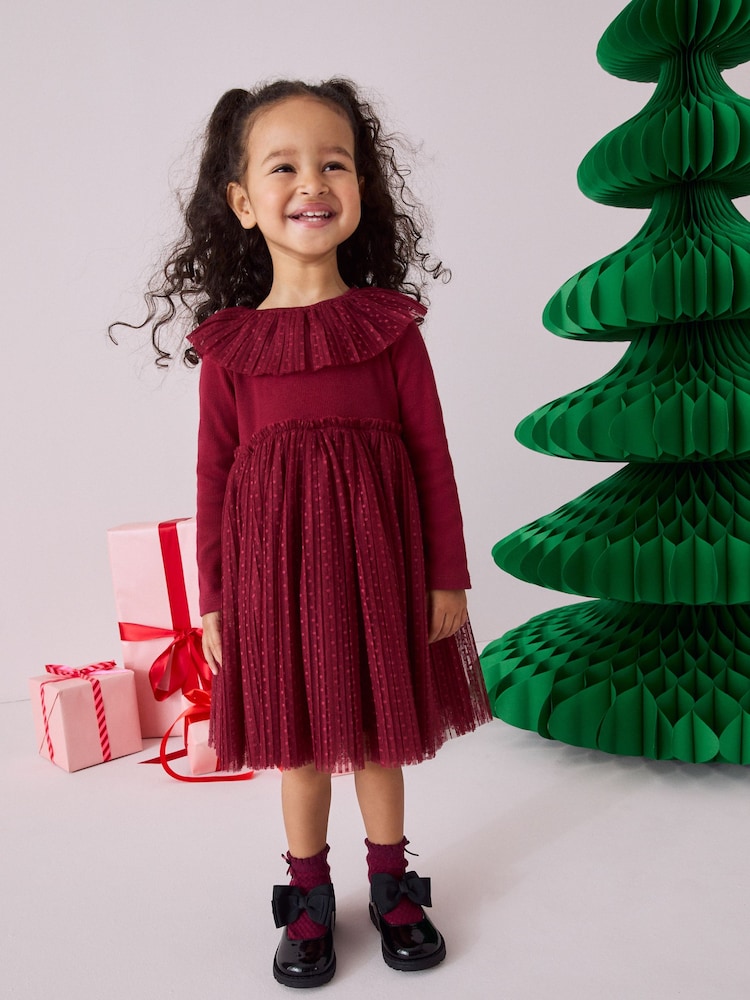 Burgundy Long Sleeve Mesh Dress (3mths-7yrs) - Image 1 of 1