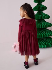 Burgundy Long Sleeve Mesh Dress (3mths-7yrs) - Image 2 of 8