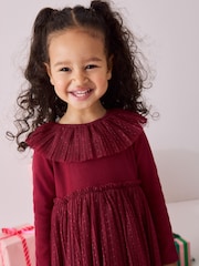 Burgundy Long Sleeve Mesh Dress (3mths-7yrs) - Image 3 of 8