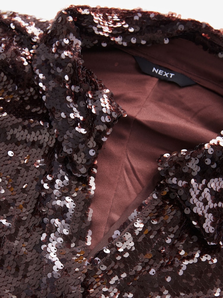 Chocolate Brown Rochelle Long Sleeve Sequin Collar Mini Dress - Image 5 of 6