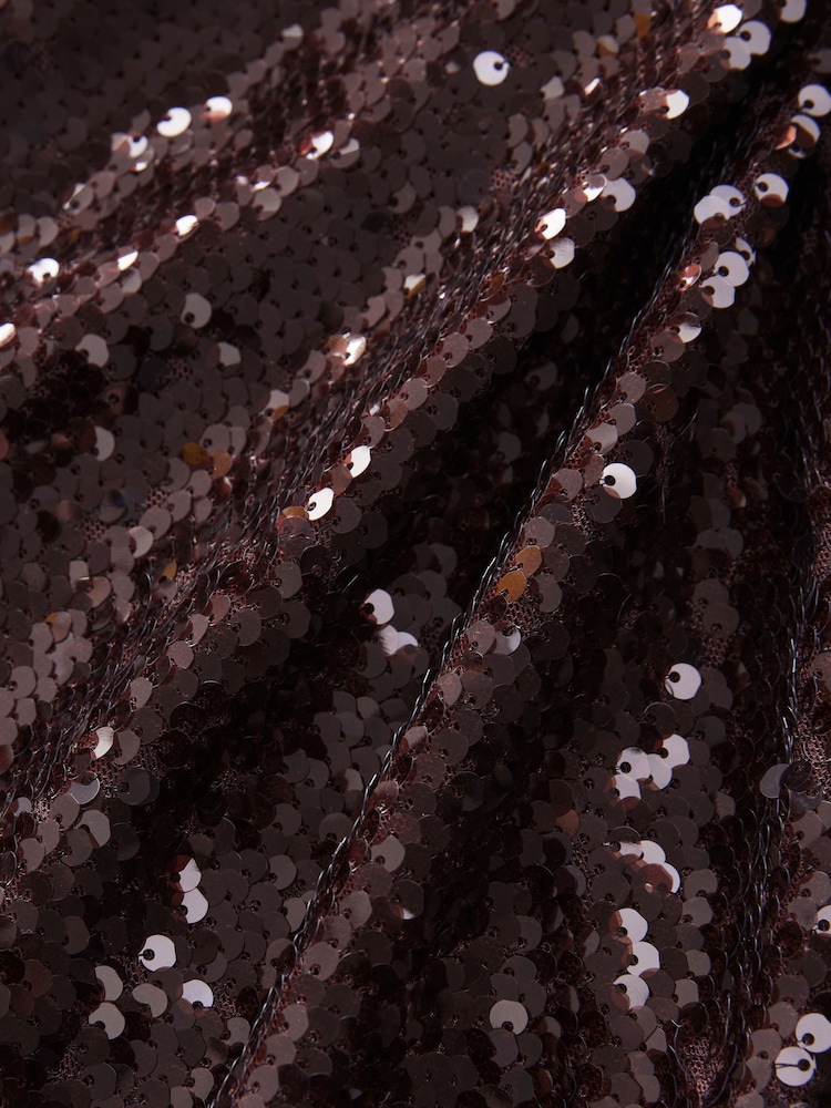Chocolate Brown Rochelle Long Sleeve Sequin Collar Mini Dress - Image 6 of 6