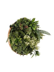Premier Decorations Ltd Green Dia.50cm Talia Joy Artificial Garden Wall Art - Image 1 of 1