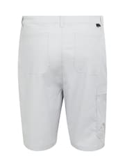 Regatta Silver Dalry Shorts - Image 6 of 7