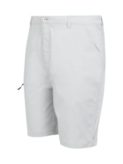 Regatta Silver Dalry Shorts - Image 7 of 7