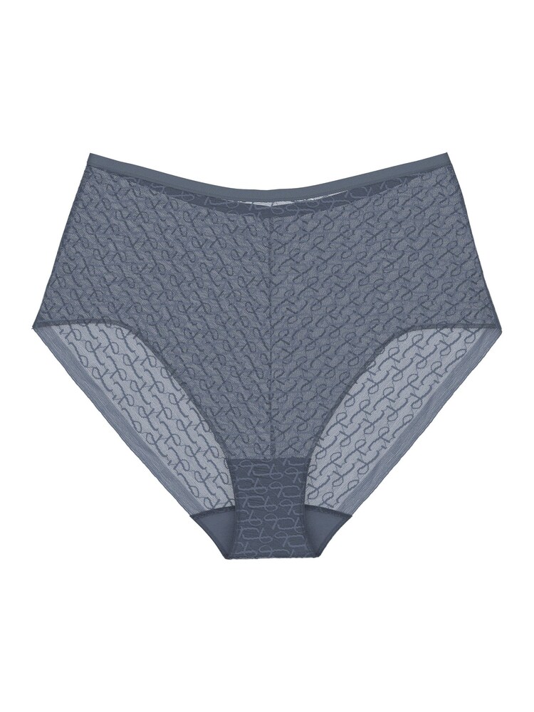 Triumph Blue Triumph Signature Sheer Briefs - Image 4 of 4