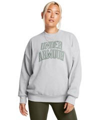 Under Armour Grey Oversized Icon Terry Crew Neck Sweat Top - Image 1 of 5