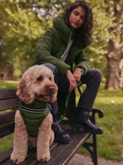 Khaki Green Harness Dog Coat - Image 1 of 9