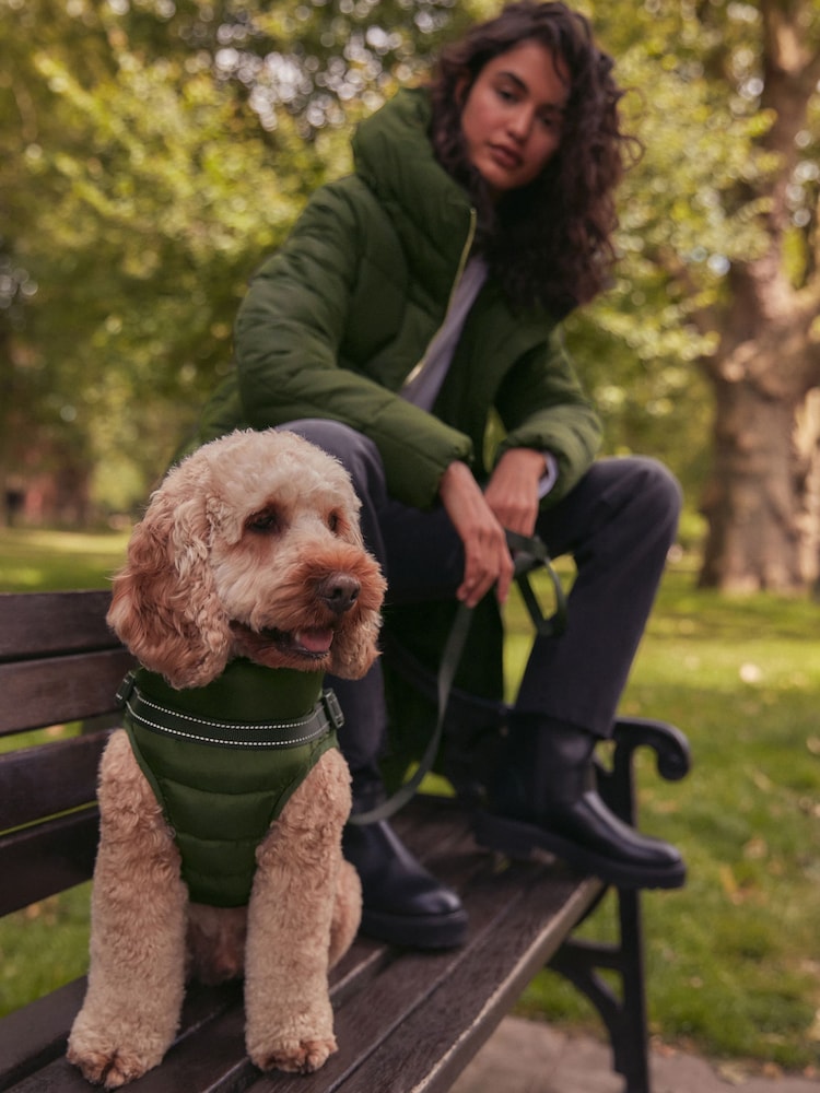 Khaki Green Harness Dog Coat - Image 1 of 9