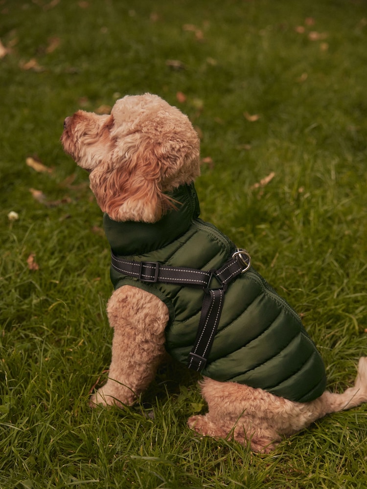 Khaki Green Harness Dog Coat - Image 2 of 9