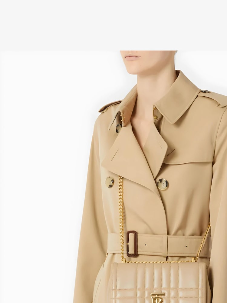 Burberry Beige Leather Lola Shoulder Brown Bag - Image 1 of 5