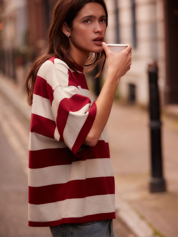 Red/Grey Stripe Oversized Relaxed Fit Boxy Heavyweight Crew Neck T-Shirt - Image 1 of 6