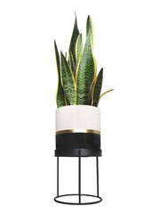 Portico Designs The Urban Gardener Small Ceramic Plant Pot with Stand - Image 3 of 5