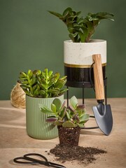 Portico Designs The Urban Gardener Small Ceramic Plant Pot with Stand - Image 5 of 5