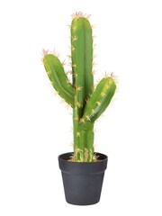Premier Decorations Ltd Green 53cm Plastic Potted Saguaro Garden Cactus - Image 1 of 1