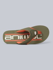 Animal Khaki Green Mens Jekyl Flip Flops - Image 2 of 5