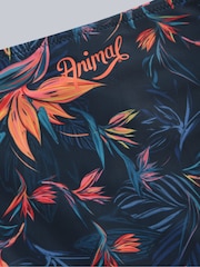 Animal Orange Iona Tie Side Printed Bikini Bottoms - Image 5 of 5