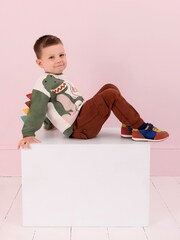 JoJo Maman Bébé Natural Dinosaur Applique Novelty Sweatshirt - Image 7 of 7