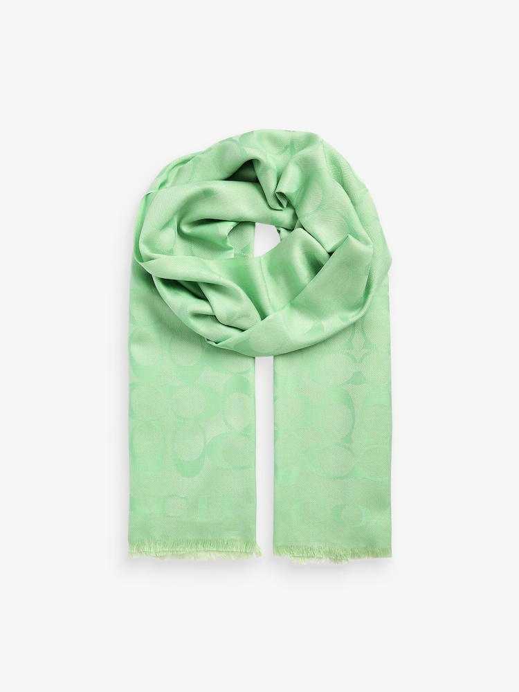 Green Fiorelli Mimi Scarves - Image 1 of 5