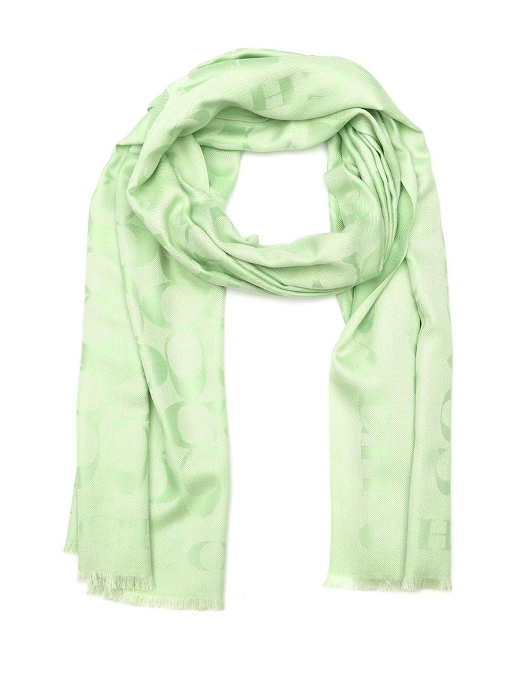 Green Fiorelli Mimi Scarves - Image 2 of 5
