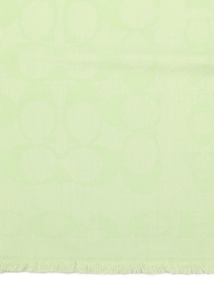 Green Fiorelli Mimi Scarves - Image 5 of 5