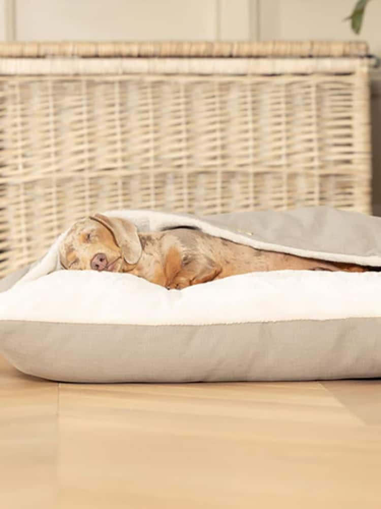 Lords and Labradors Stone Savanna Sleepy Burrows Dog Bed - Image 1 of 3