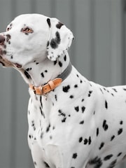 Lords and Labradors Slate Essentials Twill Dog Lead - Image 1 of 6