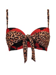 Pour Moi Animal Padded Print St Lucia Bikini Top - Image 3 of 4