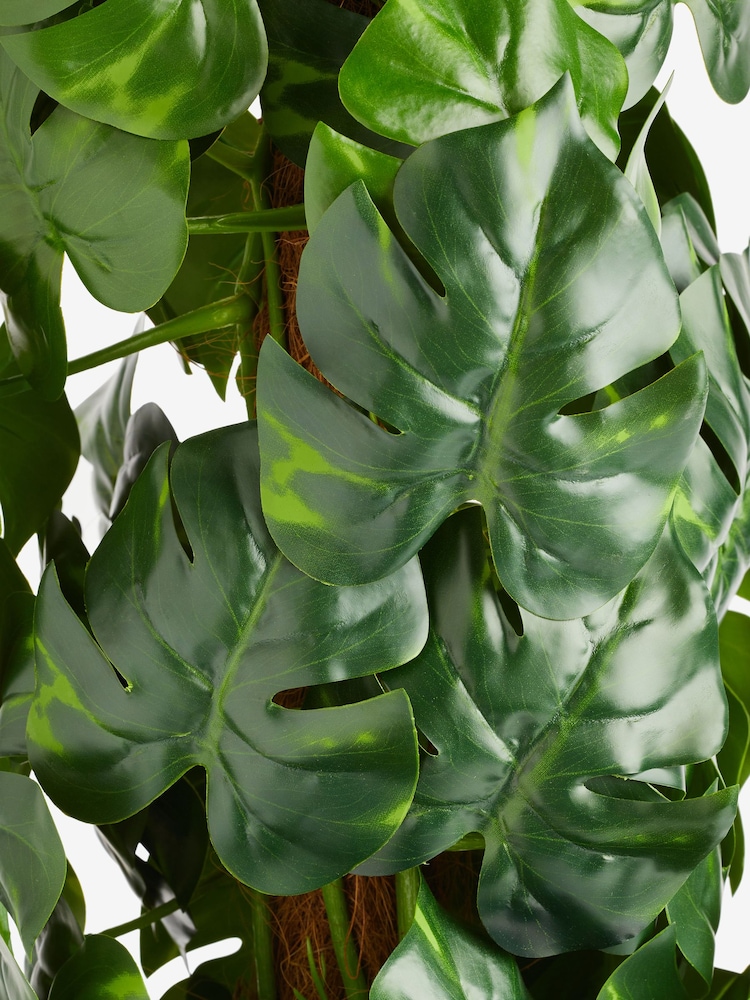 Green Artificial Moss Pole Monstera - Image 4 of 4 Green Artificial Moss Pole Monstera - Image 4 of 4