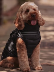 Black Harness Dog Coat - Image 1 of 9