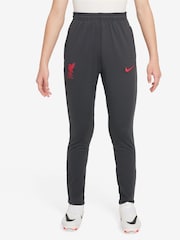 Спортивные брюки Nike Liverpool FC Strike - Изображение 1 из 3