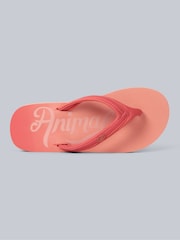 Animal Pink Womens Swish Flip Flops - Image 2 of 5