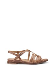 Hotter Brown Regular Fit Sienna Buckle Sandals - Image 1 of 3