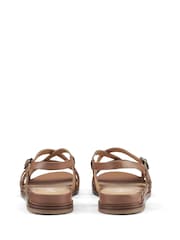 Hotter Brown Regular Fit Sienna Buckle Sandals - Image 3 of 3