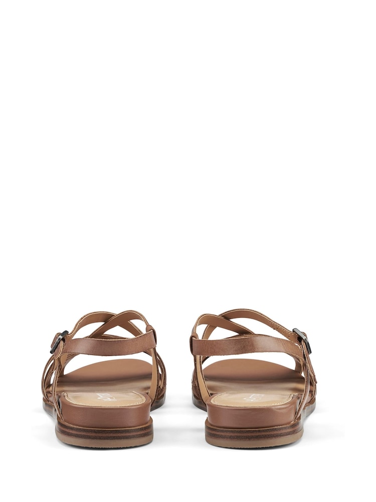 Hotter Brown Regular Fit Sienna Buckle Sandals - Image 3 of 3