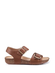 Hotter Dark Brown Extra Wide Fit Tourist II Buckle Sandals - Image 1 of 4