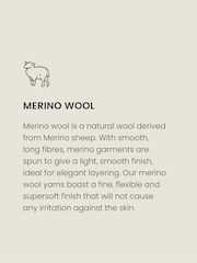 Azul marino - Regular Fit Signature 100% Merino Wool Midweight Jumper - Imagen 4 de 8