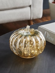 Silver Pumpkin Feature Light - Image 1 of 5