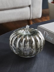 Silver Pumpkin Feature Light - Image 2 of 5