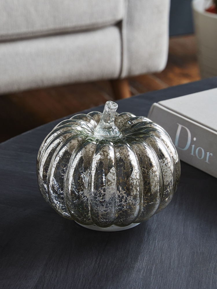 Silver Pumpkin Feature Light - Image 2 of 5