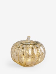 Silver Pumpkin Feature Light - Image 5 of 5