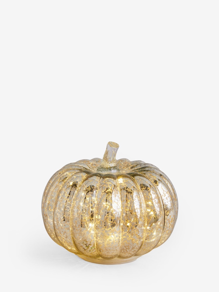 Silver Pumpkin Feature Light - Image 5 of 5