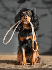 Lords and Labradors Pebble Essentials Herdwick Dog Lead - Image 3 of 5